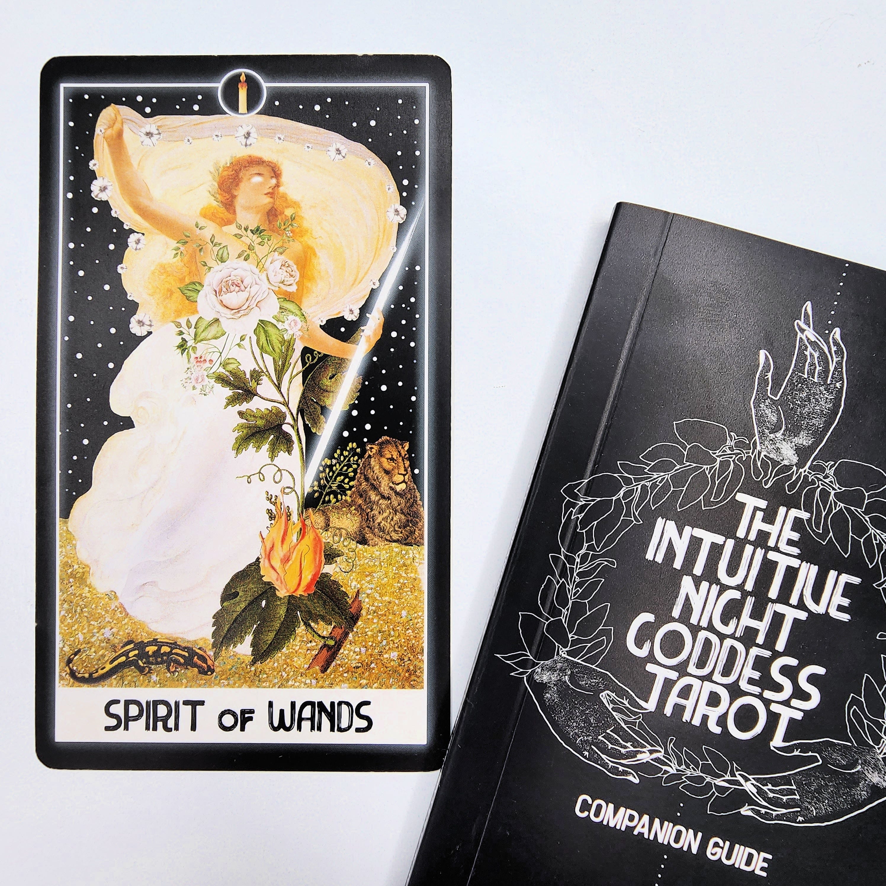 The Intuitive Night Goddess Tarot – Totems and Tarot